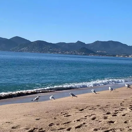 Вилла Scenic In With Private Pool Канны